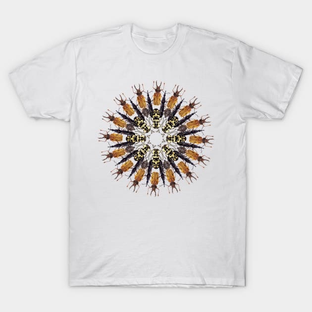 Brown bugs mandala T-Shirt by burenkaUA